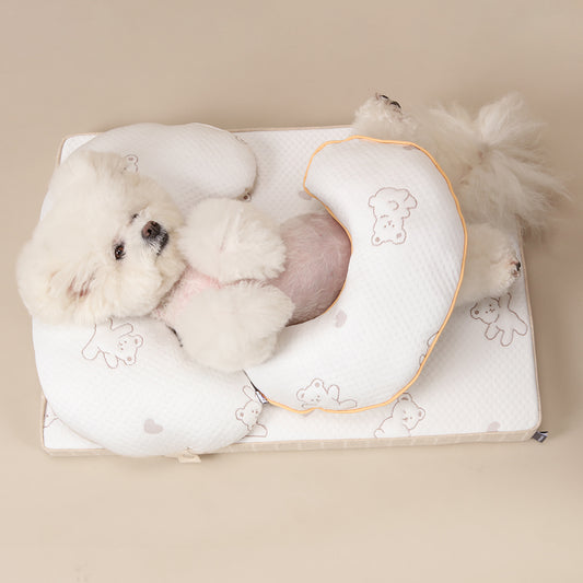 Ritogato Aircoil Forpe 氣墊極涼感床連枕頭 with Pillow