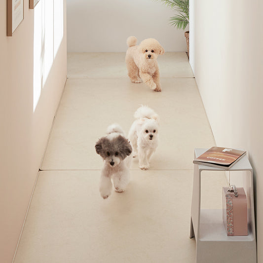 【預訂】Pupping 寵物防滑墊 Pet Mat  走廊款/整塊款