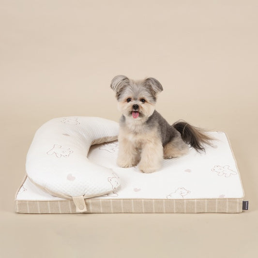 Ritogato Aircoil Forpe 氣墊極涼感床連枕頭 with Pillow