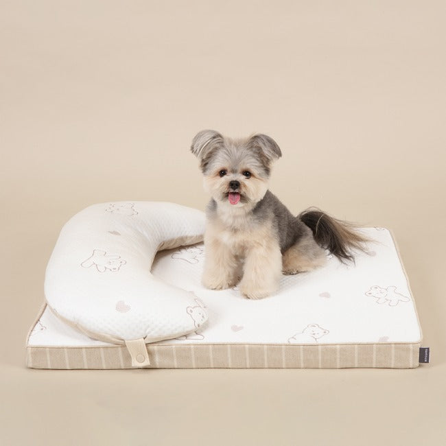 Ritogato Aircoil Forpe with Pillow 氣墊極涼感床連枕頭