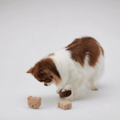 AHAHLAND 熊仔漏食乳膠玩具 Latex Toy