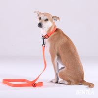 Bentla Aqua Leash  防水單色狗帶 1.5m