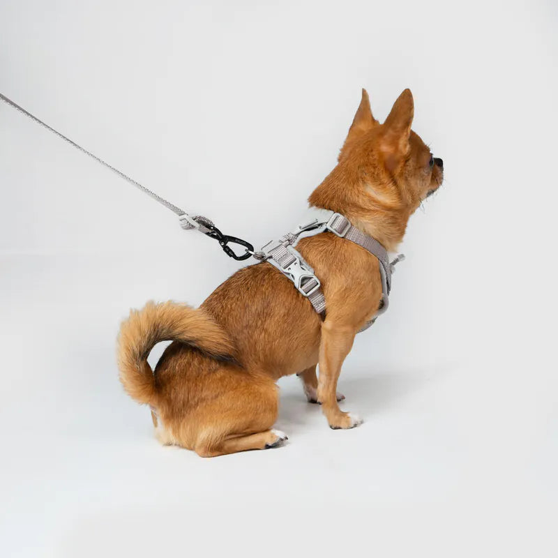 Sputnik Ultra Explore 變形牽繩 - 灰