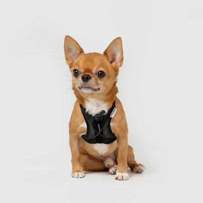 Sputnik Ultra Explore 終極胸背帶 - 黑