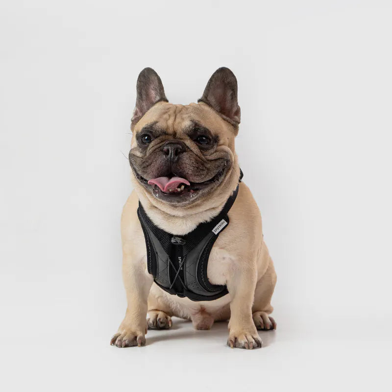 Sputnik Ultra Explore 終極胸背帶 - 黑