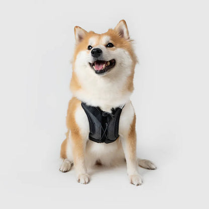 Sputnik Ultra Explore 終極胸背帶 - 黑