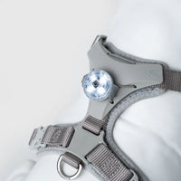 Sputnik Pets LED Pendant 寵物夜行燈