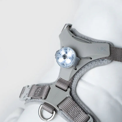 Sputnik Pets LED Pendant 寵物夜行燈