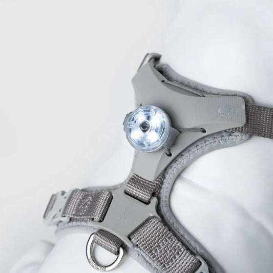 Sputnik Pets LED Pendant 寵物夜行燈