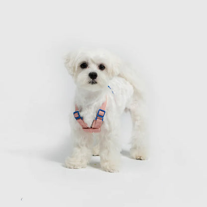 Sputnik 10TH YEAR 胸背帶 - 粉色