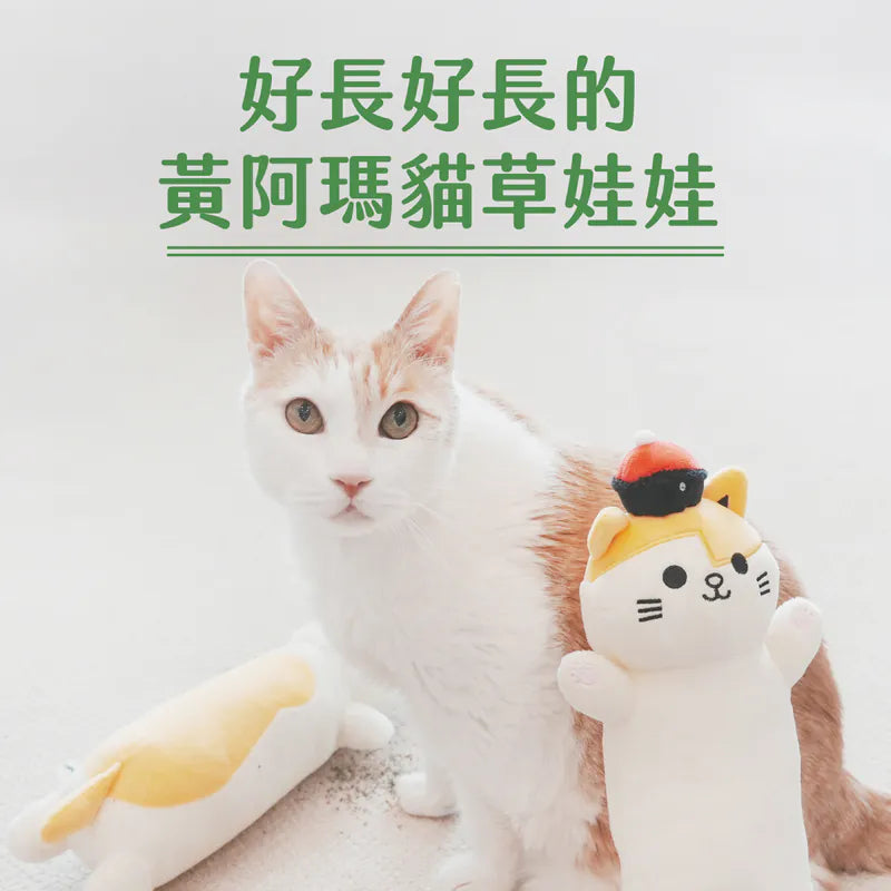 好長好長的黃阿瑪特濃貓草娃娃