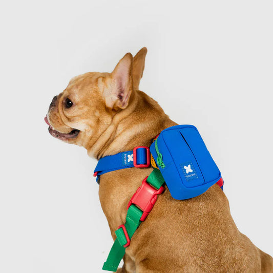 Sputnik 10TH YEAR 拾便小包 - 藍色