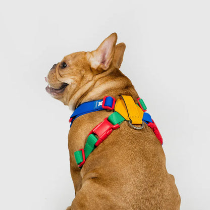 Sputnik 10TH YEAR 胸背帶 - 拼色