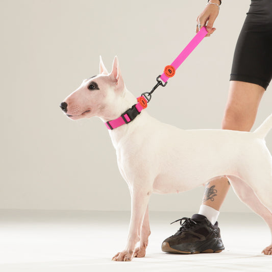 Bentla Aqua Short Leash 防水短牽帶