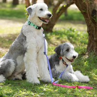 Bentla Aqua Twin Leash 防水雙繩狗帶