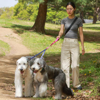 Bentla Aqua Twin Leash 防水雙繩狗帶