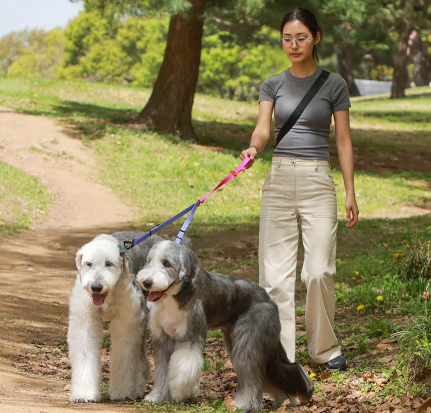 Bentla Aqua Twin Leash 防水雙繩狗帶