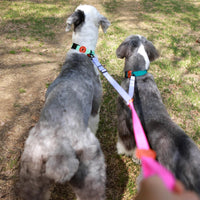 Bentla Aqua Twin Leash 防水雙繩狗帶