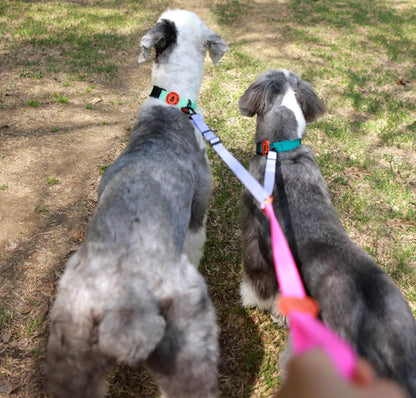 Bentla Aqua Twin Leash 防水雙繩狗帶