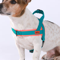 Bentla 三項全能防水胸背帶 Aqua Tri Harness