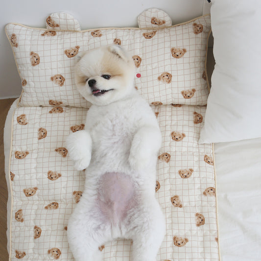 Ritogato 寵物涼感墊連枕頭 Icebear Coolmat with Pillow  (W Bear)