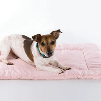 Bentla 寵物帳篷軟墊 Pet tent mat