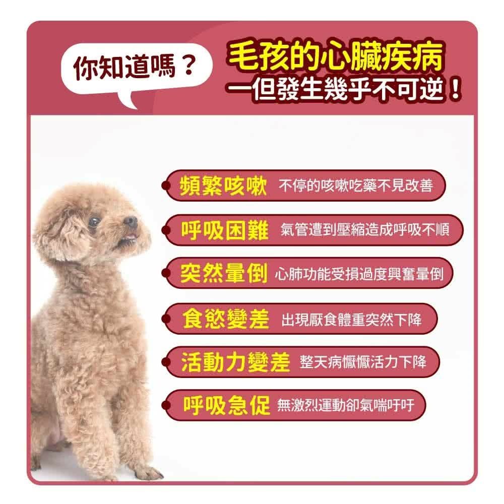 毛孩時代 心臟專科保健粉 Heart Supprt (30包/盒)