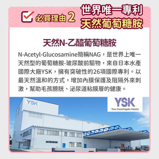 毛孩時代 專利蔓越莓 Urinary Tract Health (30包/盒)