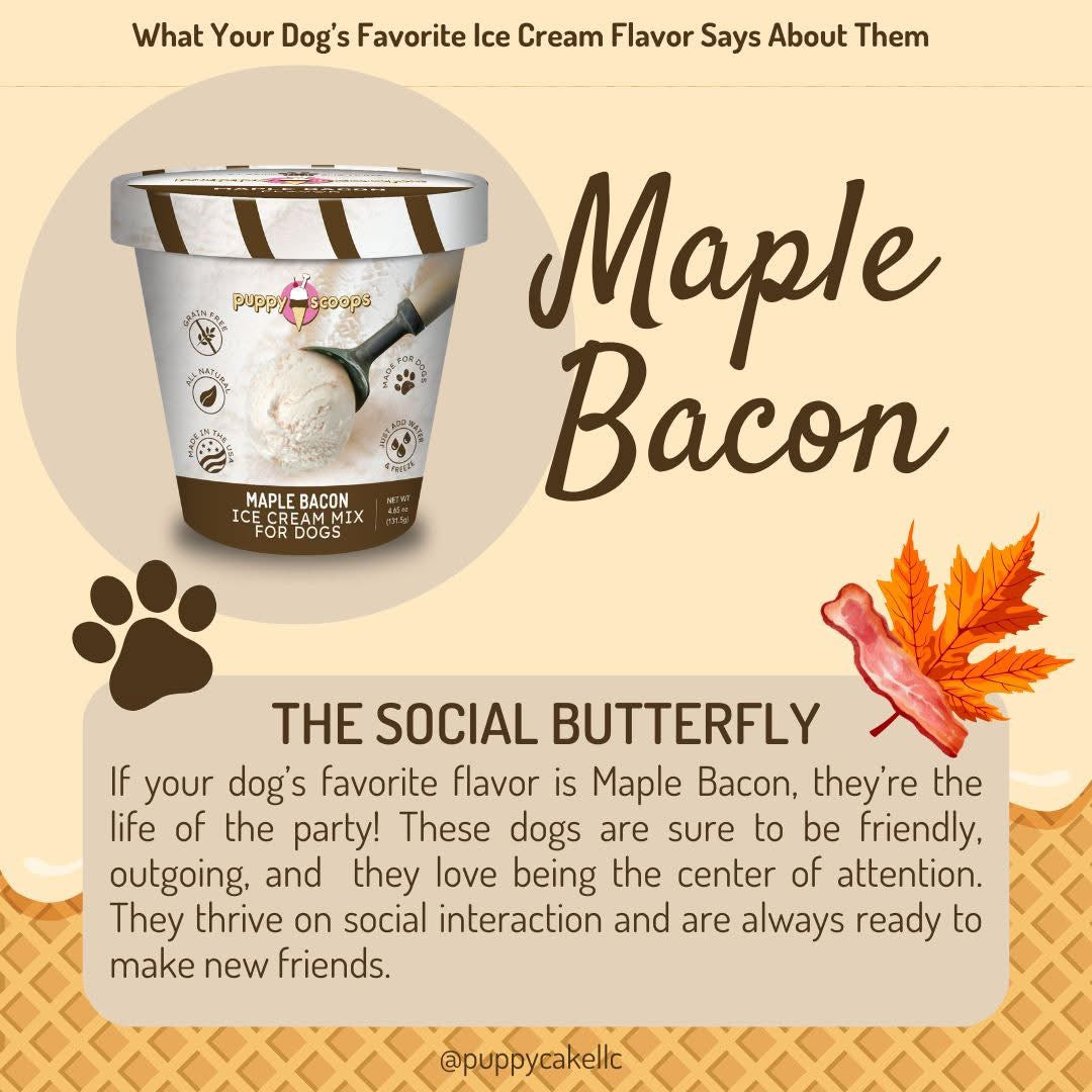 Puppy Scoops Ice Cream Mix (Maple Bacon) 楓糖煙肉味雪糕