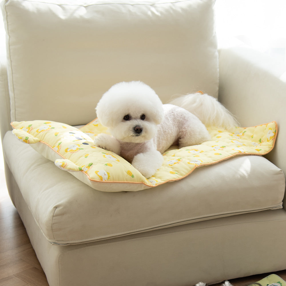 Ritogato 寵物涼感墊連枕頭 Icebear Coolmat with Pillow (菠蘿)