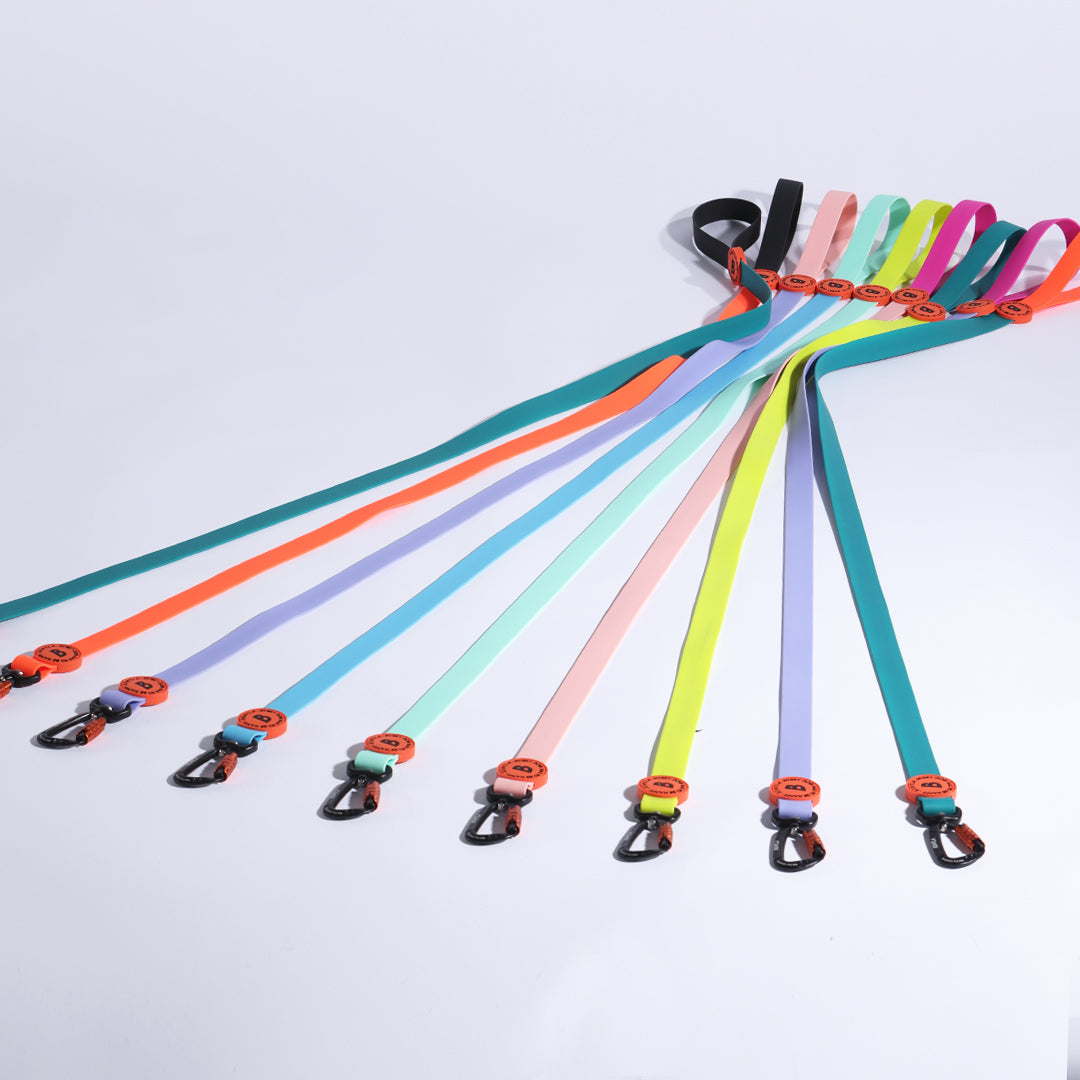 Bentla Aqua Two-coloured Leash 防水雙色狗帶 1.5m