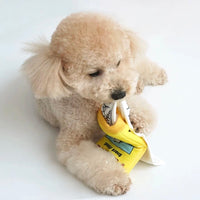 ParisDog Peanuts 藏食書