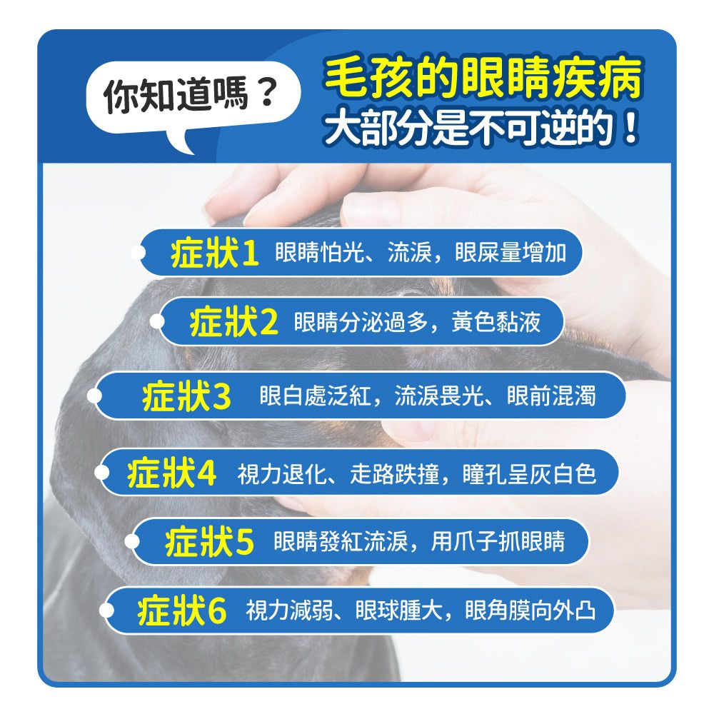 毛孩時代 8合1游離型葉黃素 8 in 1 Lutein (30包/盒)