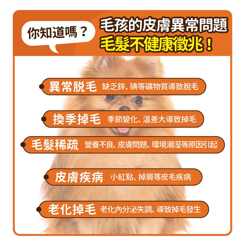 毛孩時代 爆毛專利保健粉 Hair Growth Support (30包/盒)