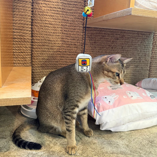 Meow²「罐罐時間」逗貓棒
