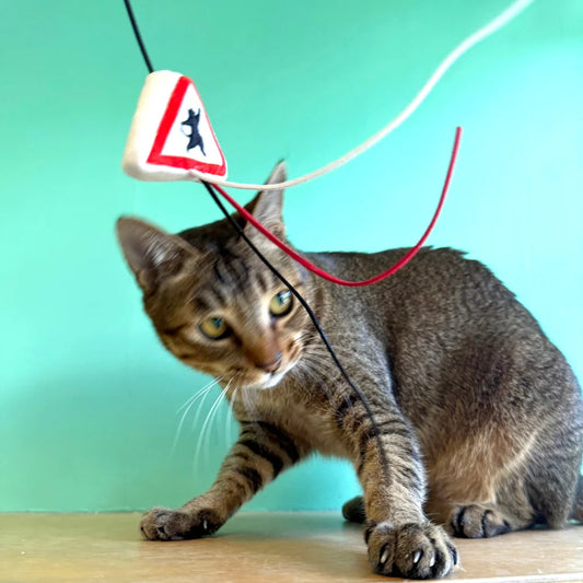 Meow² 「貓岀沒」注意警告牌逗貓棒