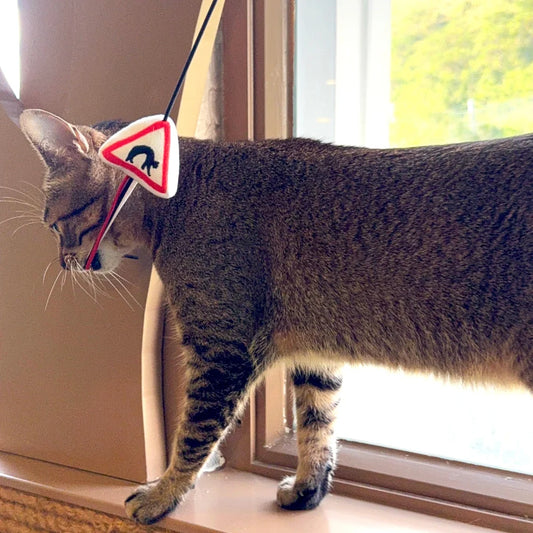 Meow² 「貓岀沒」注意警告牌逗貓棒
