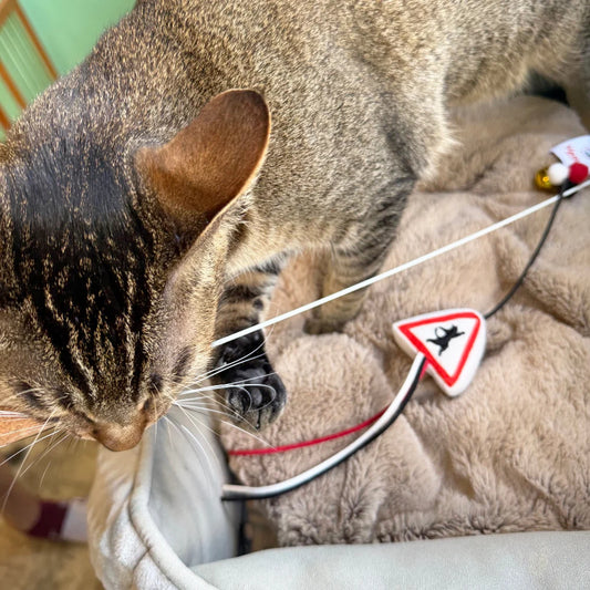 Meow² 「貓岀沒」注意警告牌逗貓棒