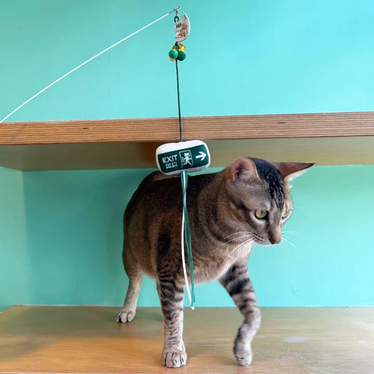 Meow² 逃生出口逗貓棒
