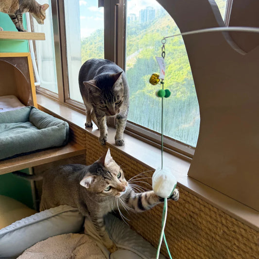 Meow² 逃生出口逗貓棒