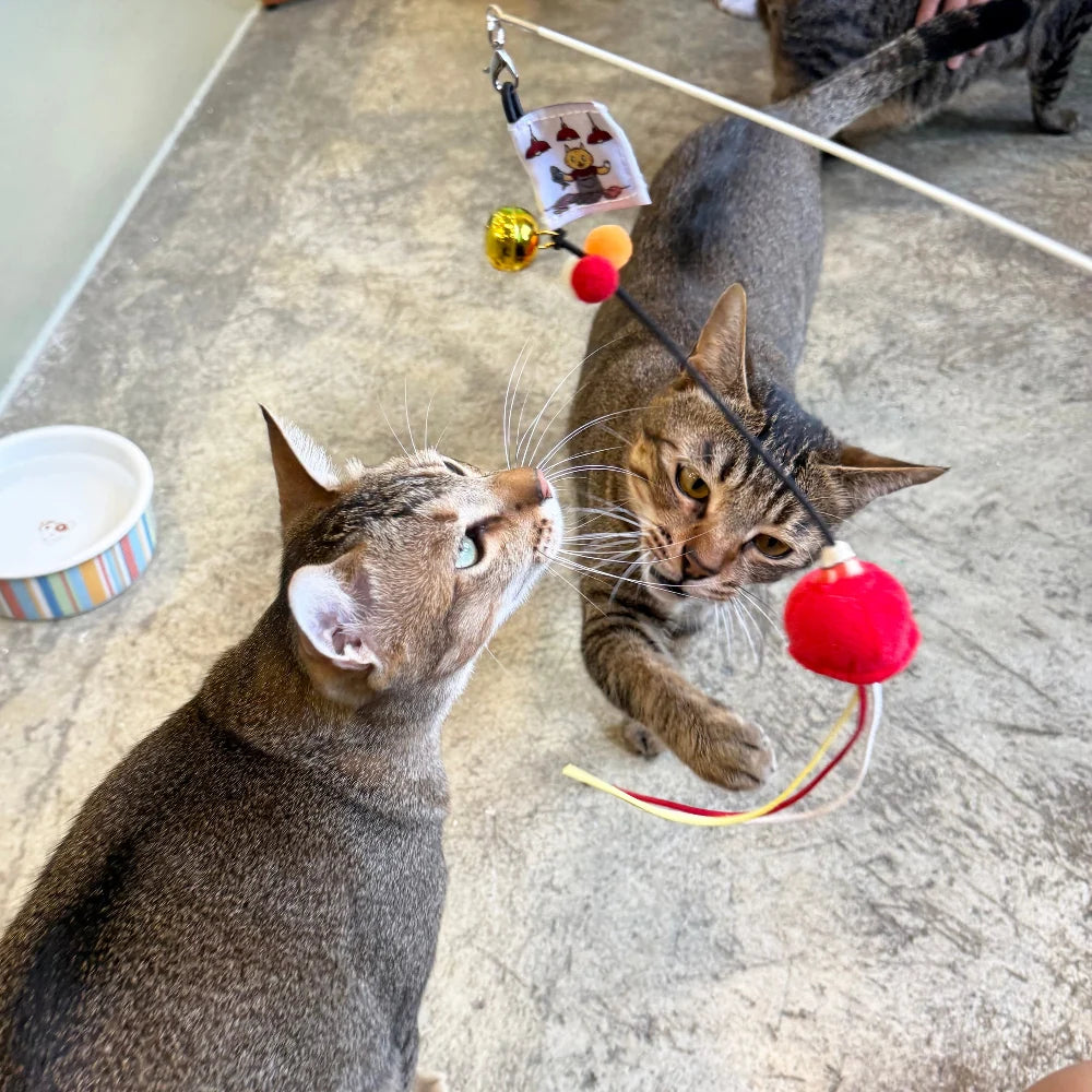 Meow² 紅色街市燈逗貓棒