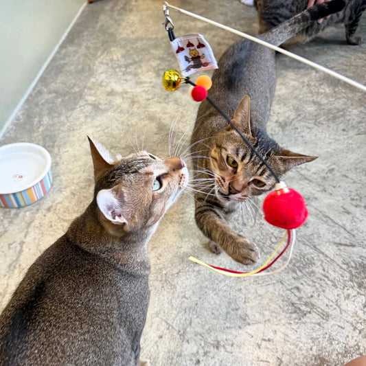 Meow² 紅色街市燈逗貓棒