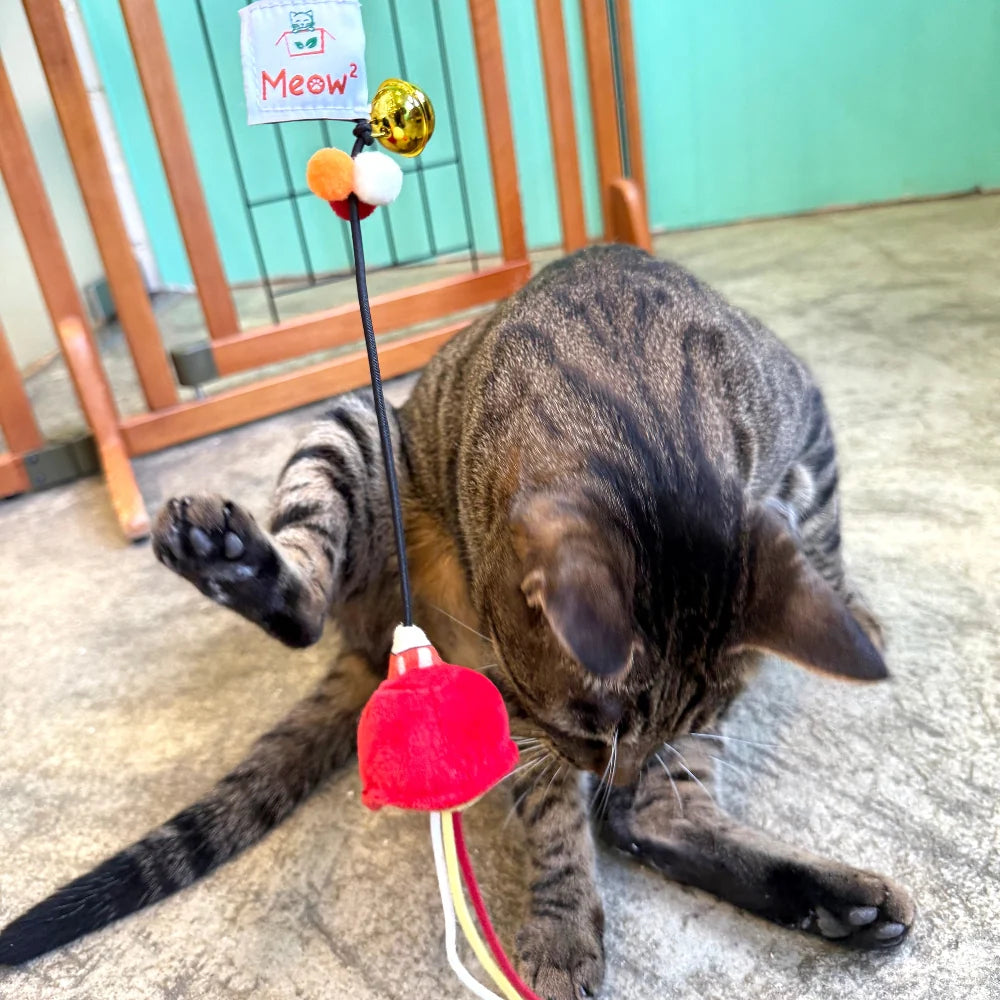 Meow² 紅色街市燈逗貓棒