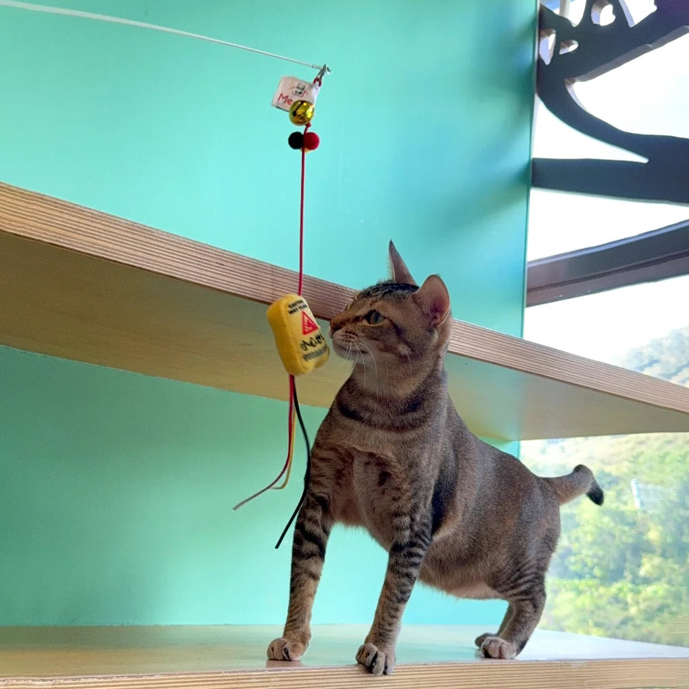 Meow² 小心地滑警告牌逗貓棒
