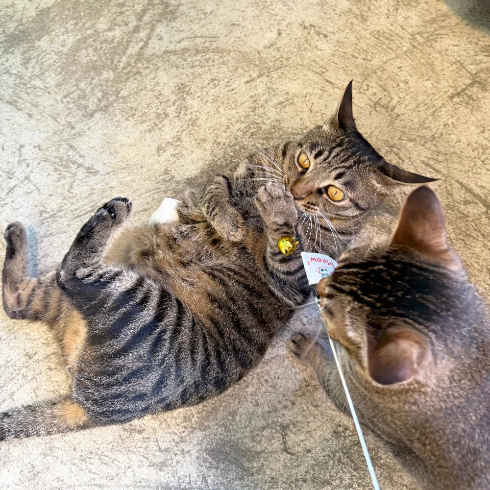 Meow² 懷舊大哥大電話逗貓棒