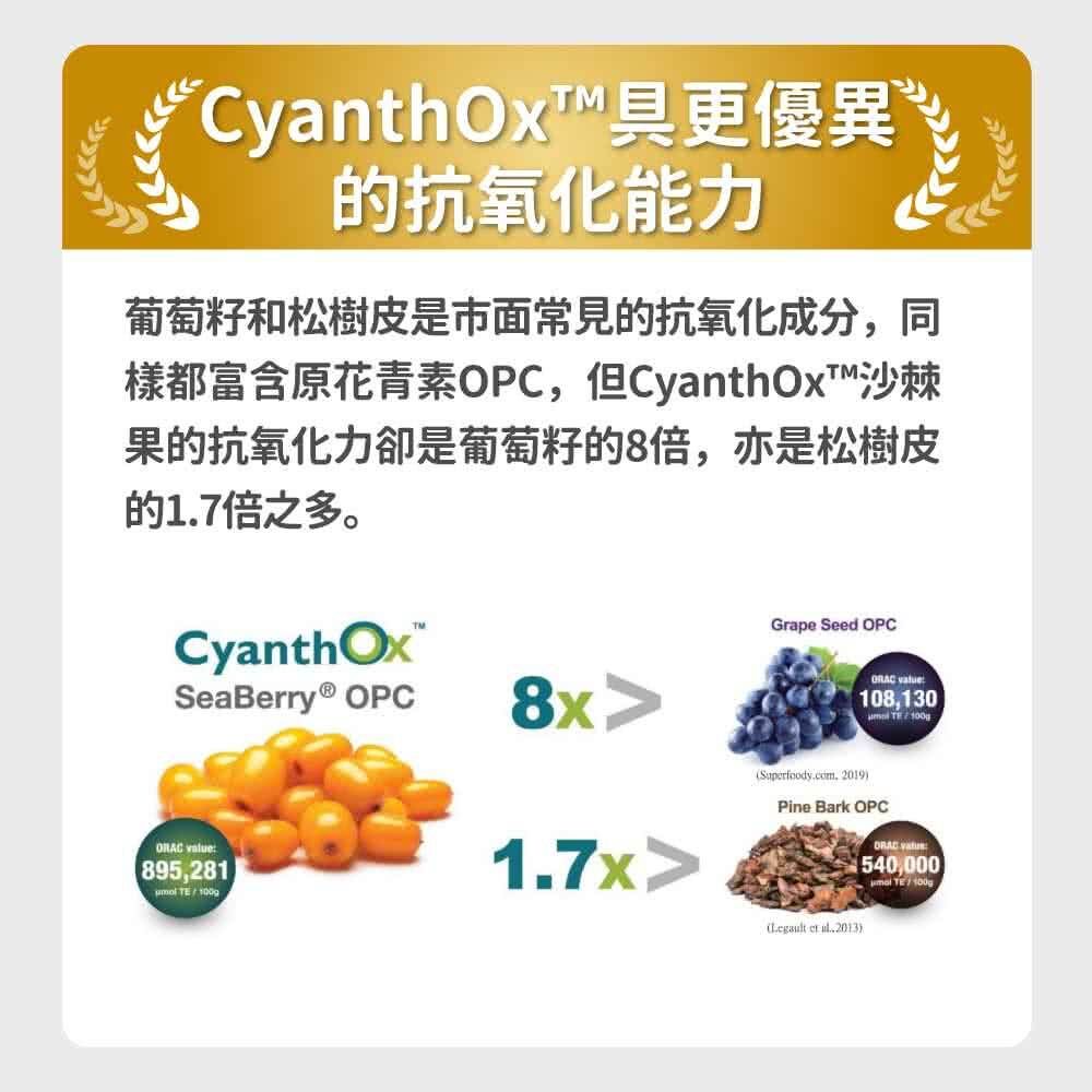 毛孩時代 心臟專科保健粉 Heart Supprt (30包/盒)