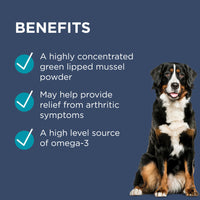 Blackmore 三文魚關節肉粒  Osteocare Joint Health Chew 100粒裝