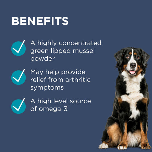 Blackmore 三文魚關節肉粒  Osteocare Joint Health Chew 100粒裝