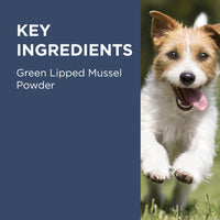 Blackmore 三文魚關節肉粒  Osteocare Joint Health Chew 100粒裝