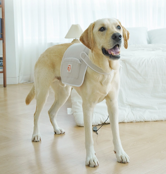 Cirius Pet Warm Pad Pro 無線紅外線髖關節保養毯 大墊款